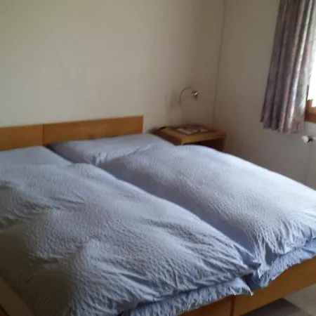 接待服务霍恩巴赫-品特宾馆 瓦森